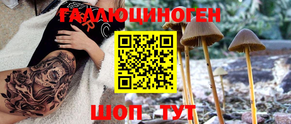 Соликамск  Псилоцибиновые грибы прущие грибы  Вход с VPN 